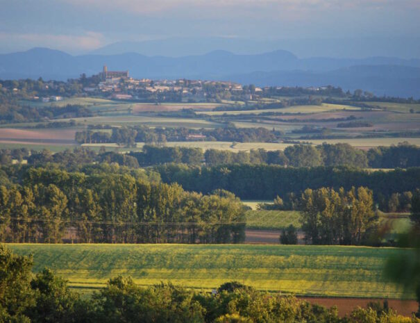 View-from-the-domaine