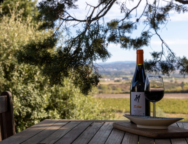 Gite Corbieres - terrace-wine-view