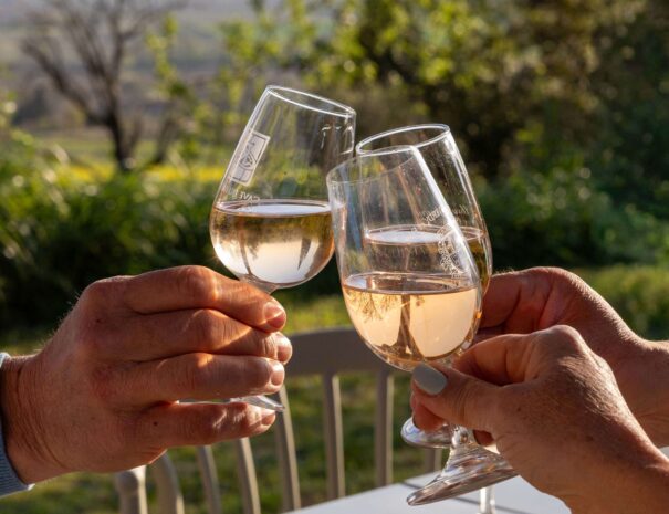 Malepere - Haut - Exterior-Cheers