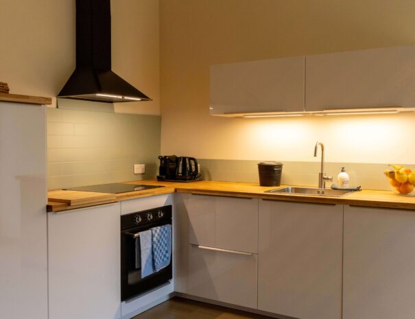 Malepere - Haute - Living room and kitchen-11